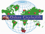 EKLERN DL